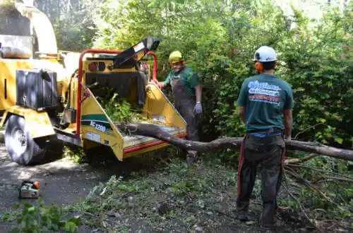 tree services Grinnell